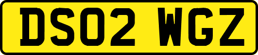 DS02WGZ