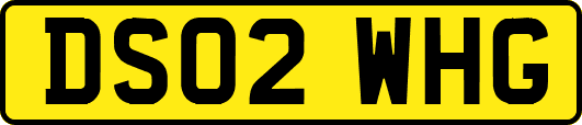 DS02WHG