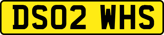 DS02WHS