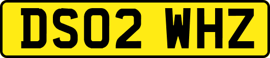 DS02WHZ