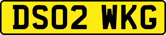 DS02WKG