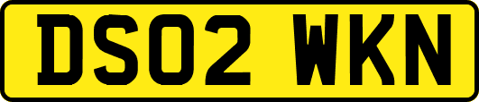 DS02WKN