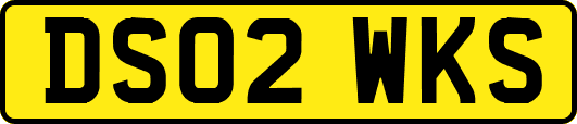 DS02WKS