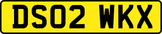 DS02WKX