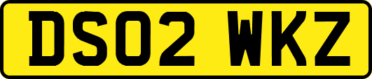 DS02WKZ