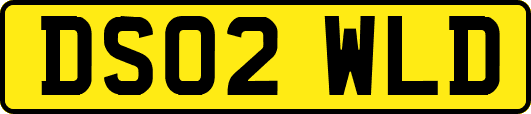 DS02WLD