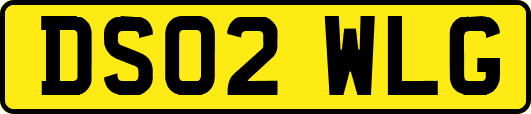 DS02WLG
