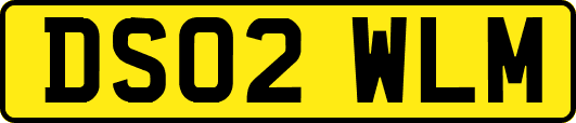 DS02WLM
