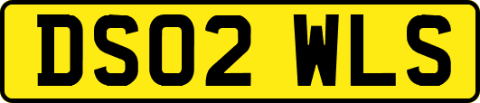 DS02WLS