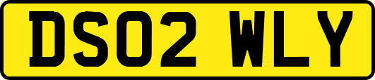 DS02WLY