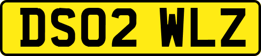 DS02WLZ