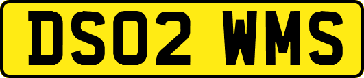 DS02WMS
