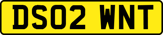 DS02WNT