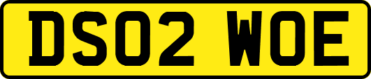 DS02WOE