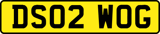 DS02WOG