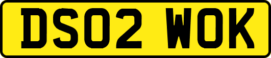 DS02WOK