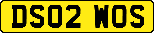 DS02WOS