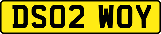DS02WOY