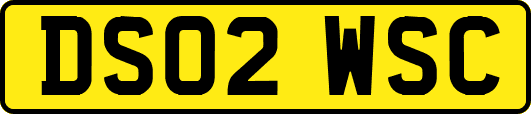 DS02WSC