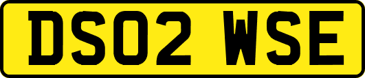 DS02WSE