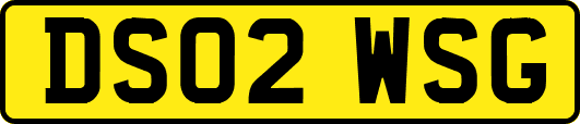 DS02WSG