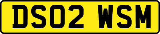 DS02WSM