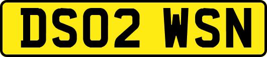 DS02WSN