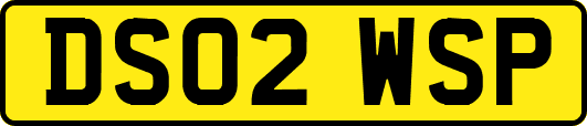 DS02WSP