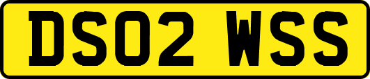 DS02WSS