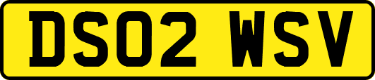 DS02WSV