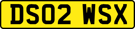 DS02WSX