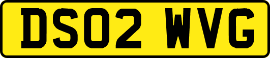 DS02WVG