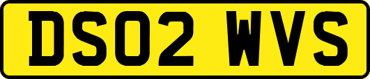 DS02WVS