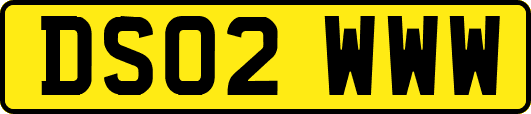 DS02WWW
