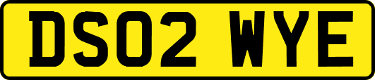 DS02WYE
