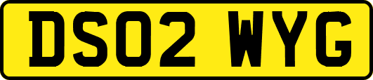 DS02WYG