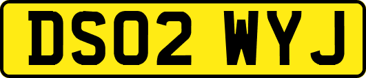 DS02WYJ