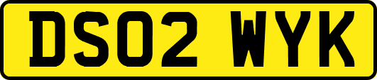 DS02WYK