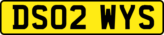 DS02WYS