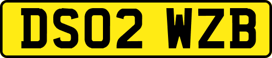DS02WZB
