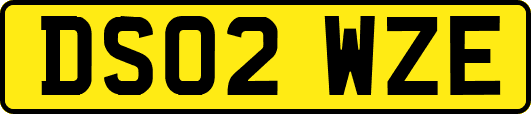 DS02WZE