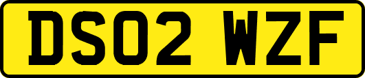DS02WZF