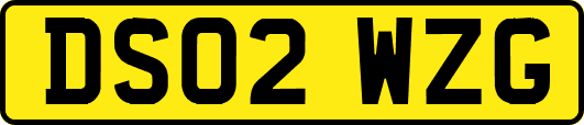 DS02WZG