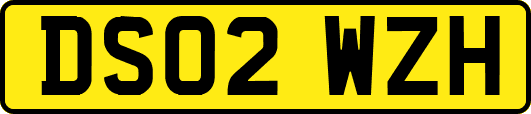 DS02WZH
