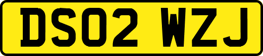 DS02WZJ