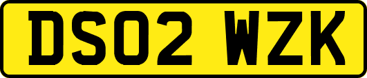 DS02WZK