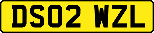 DS02WZL