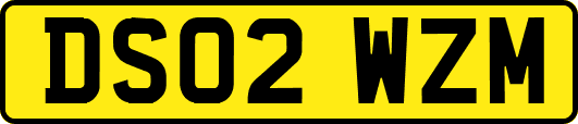 DS02WZM