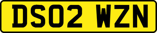 DS02WZN