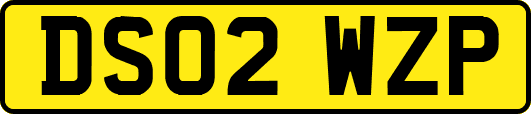 DS02WZP